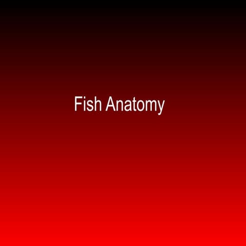 Fish Anatomy review for fish disease.pptx