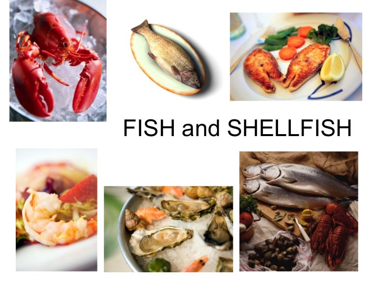 Fish and shellfish (1)