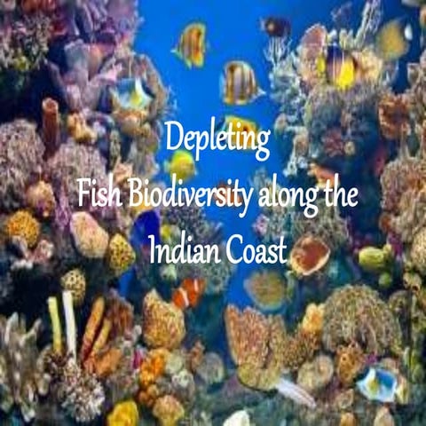 Depleting Fish biodiversity