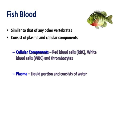 Fish blood