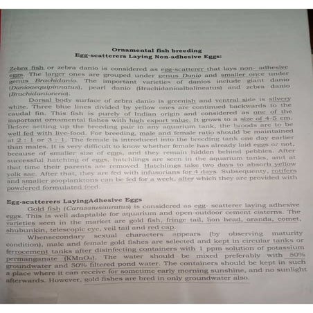 ORNAMENTAL FISH BREEDING OF EGG LAYING