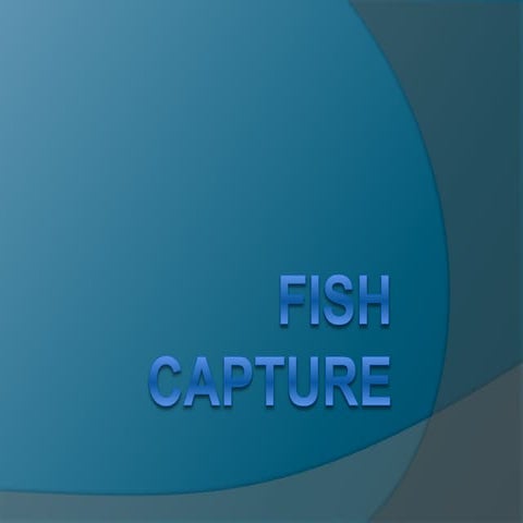 Fish capture