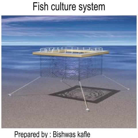Fish culture system