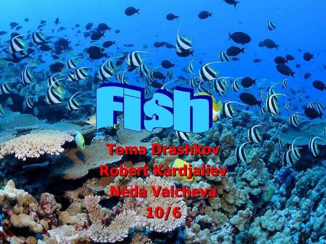 Fish drashkov kardjaliev valcheva 10 6