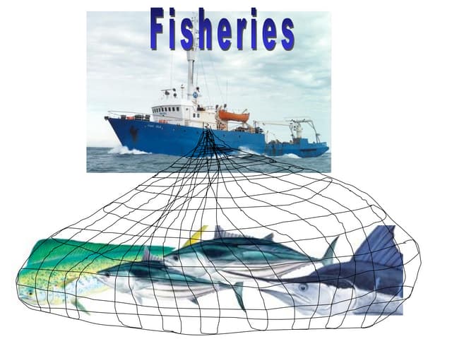 A ppt on Fisheries and how they are operated.pdf