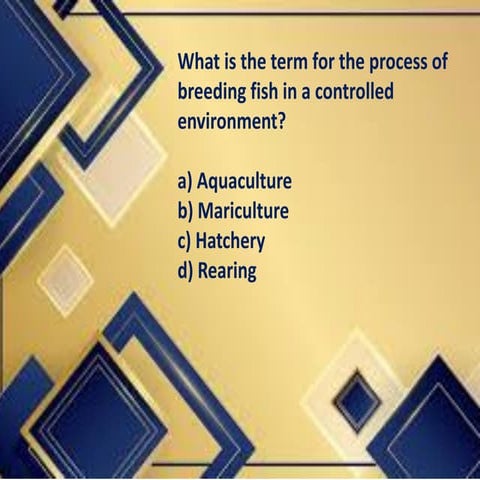 FISHERIES-SESSION.pdfffffffffffffffffffffff