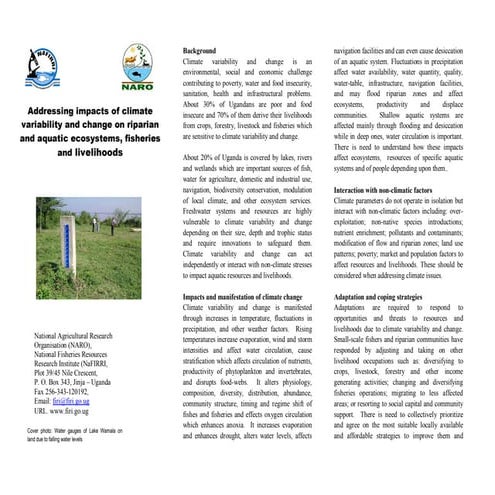 Fisheries brochure with rf log