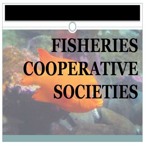 Fisheries cooperative societies