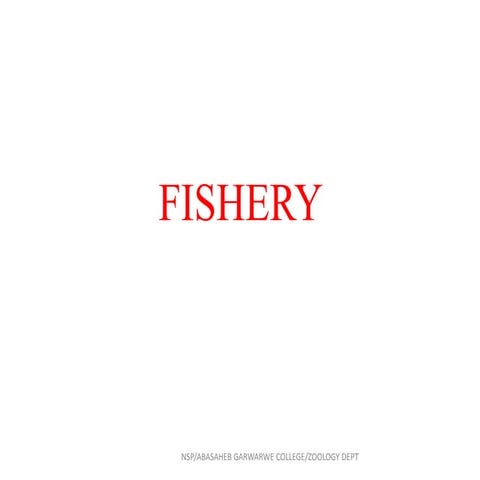 Economic important fishes