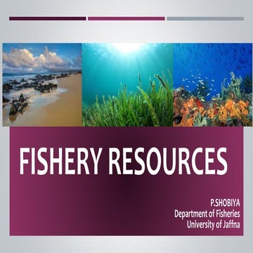 Fishery resources ppt
