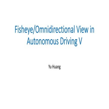 Fisheye/Omnidirectional View in Autonomous Driving V