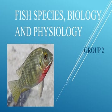Biology of fin fish (labeo rohita) | PPTX