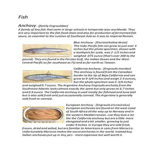 Fish guide