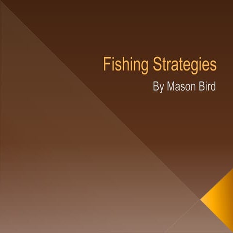 Fishing Strategies