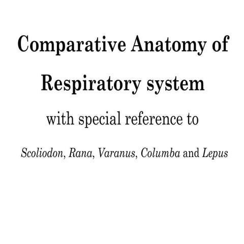Fish respiratory system.pdf