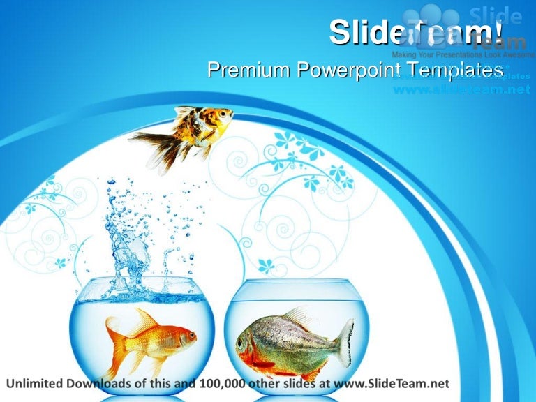 Fish runs away animals power point templates themes and backgrounds p…