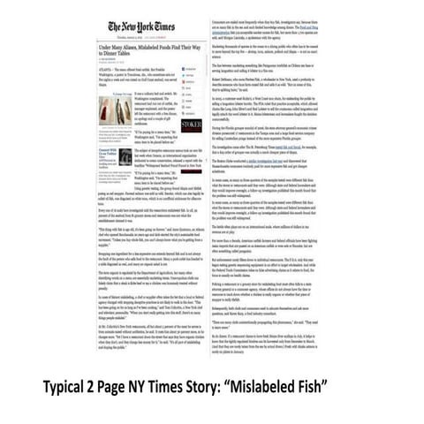 Story Time: Under The Sea | PDF