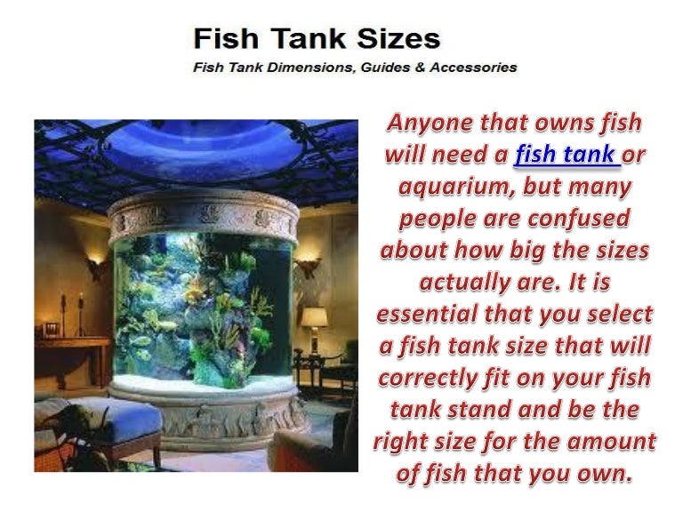 Fish tank sizes