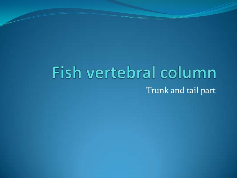 Fish vertebral column