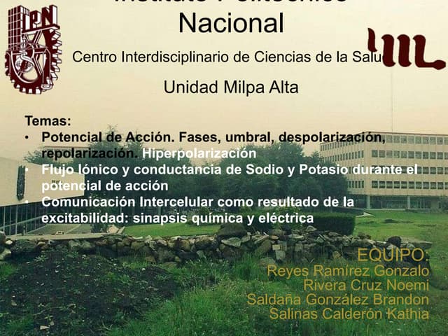 sinapsis quimica y electrica y pote...