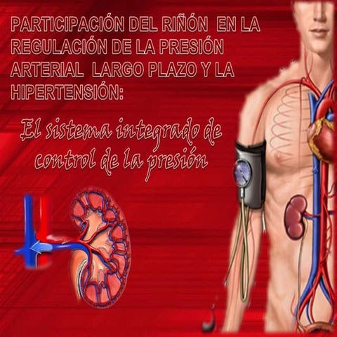 Fisiologia-El riñon y la Regulacion de la Presion Arterial | PPTX