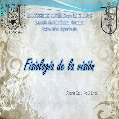 Fisiología de la visión