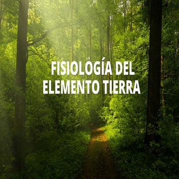 Teoría de los cinco elementos | DOCX