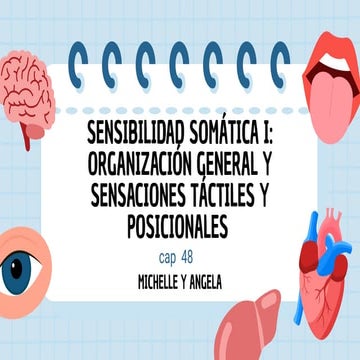 Fisiología Guyton - sensibilidad somatica | PDF