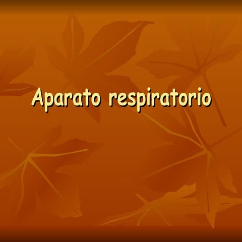 Fisiologia Aparato Respiratorio