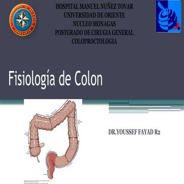 FISIOLOGIA DE COLON YOUSSEF 2 ñlsxkñsxksñ.pptx