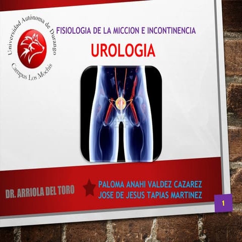 Fisiologia de la miccion e incontinencia urinaria smith
