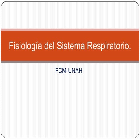 Fisiologia del sistema respiratorio expo