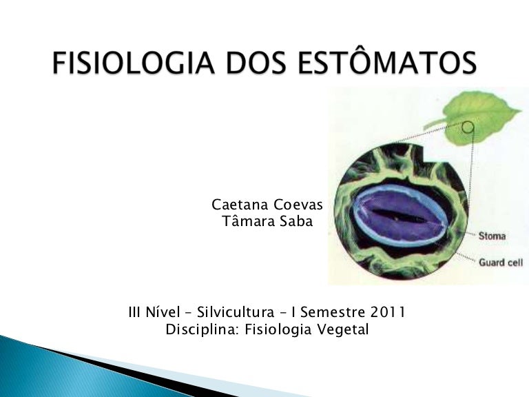 Fisiologia dos estômatos Fisiologia dos estômatos