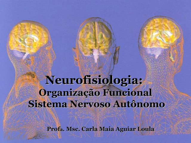 Fisiologia do sistema nervoso   org...