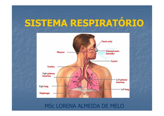 Fisiologia Humana 7 - Sistema Respi...