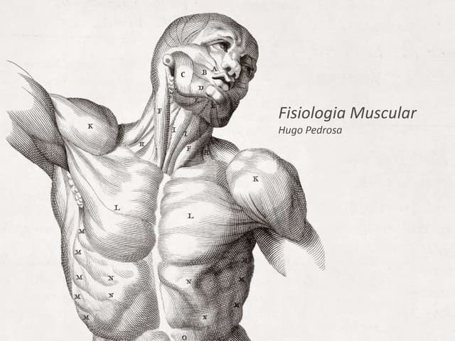 Fisiologia Muscular