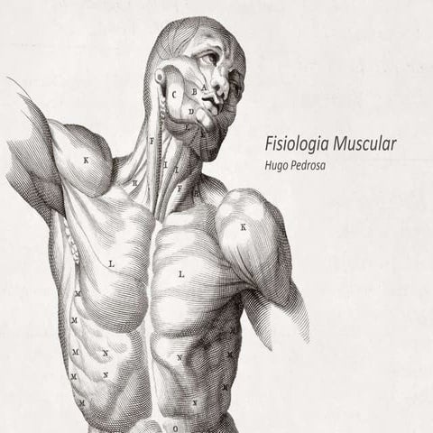 Fisiologia Muscular