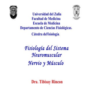 Fisiologia Neuromuscular