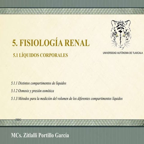 Fisiologia renal