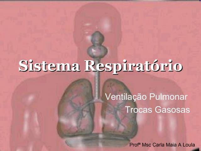Fisiologia sistema respiratório