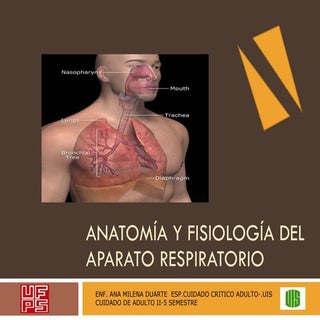 Anatomía y fisiología del aparato r...
