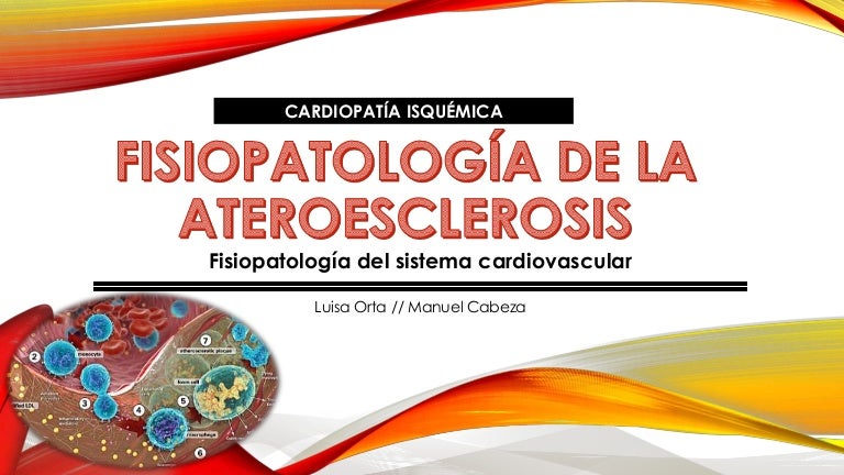 formación de aterosclerosis en diabetes formación de aterosclerosis en diabetes