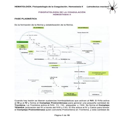 Fisiopatología de la coagulación. Hemostasia secundaria