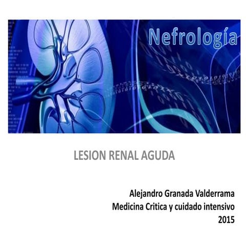 Fisiopatologia lesion renal aguda en sepsis