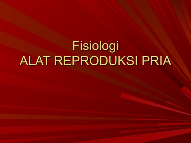 Fisio reproduksi pria
