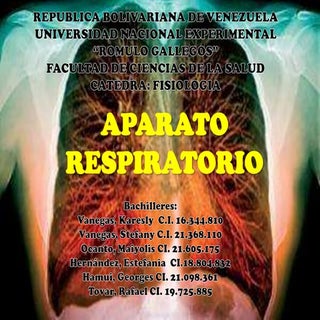 FISIOLOGIA DEL APARATO RESPIRATORIO