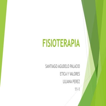 Fisioterapeuta
