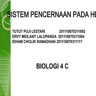 Sistem Pencernaan Hewan