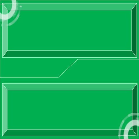 Fisiologi Hewan Sistem Saraf