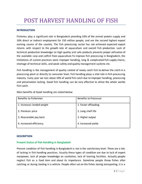 Post Harvest Handling of Fish